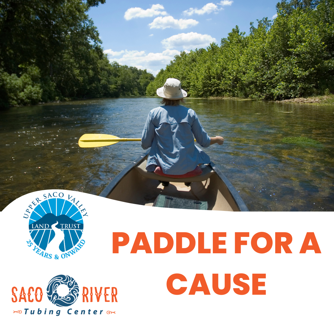 paddle for cause.png